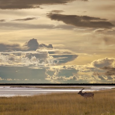 1920 x 1080 HD Wallpapers 209